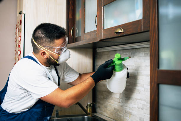 Best Wildlife Control Services  in Greenville, SC