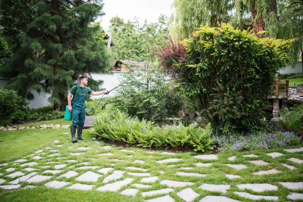 Best Pest Control Treatment  in Greenville, SC