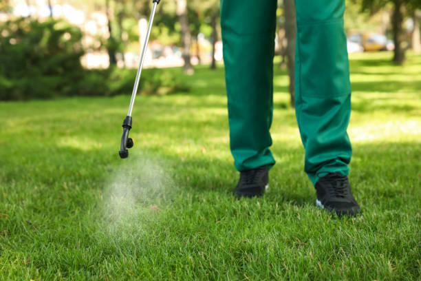 Best Cockroach Control Services  in Greenville, SC