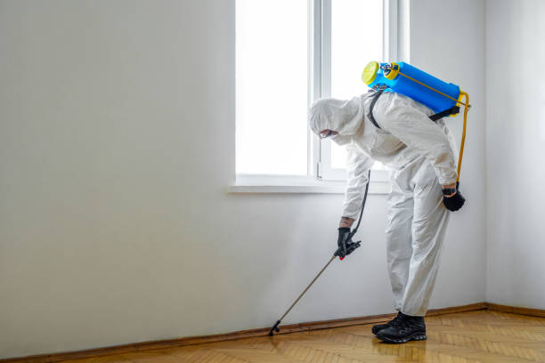 Best Mosquito Control Services  in Greenville, SC