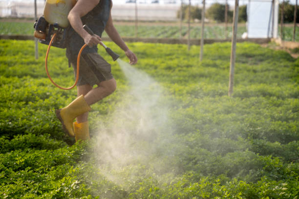Best Commercial Pest Control Services  in Greenville, SC
