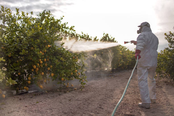 Reliable Greenville, SC Pest Control Solutions