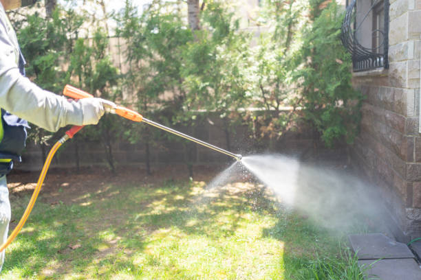 Pest Control Cost in Greenville, SC