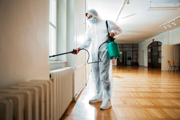 Best Termite Control Services  in Greenville, SC