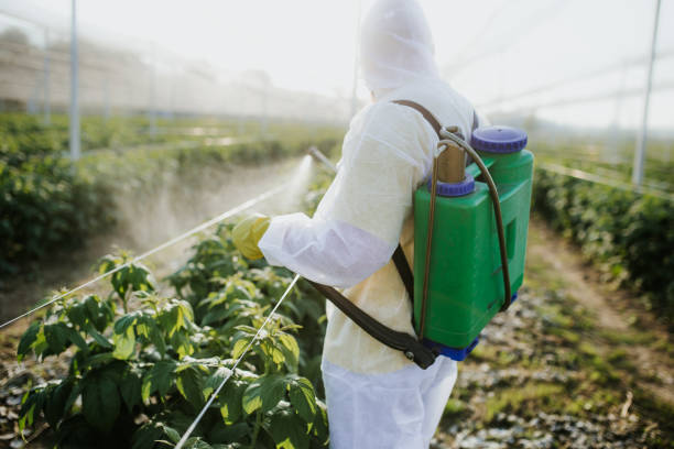 Best Termite Control Services  in Greenville, SC